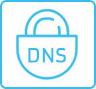 Revdns