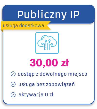 publiczny adres IP