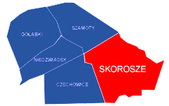 SKOROSZE Najszybszy Internet w Skoroszach. Sprawdź wyjątkową ofertę tylko dla mieszkańców osiedla Warszawa Skorosze.