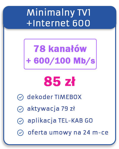 Minimalny TV 1 + 600 Mb/s